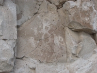 Petroglyphs