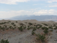 Sand Dunes